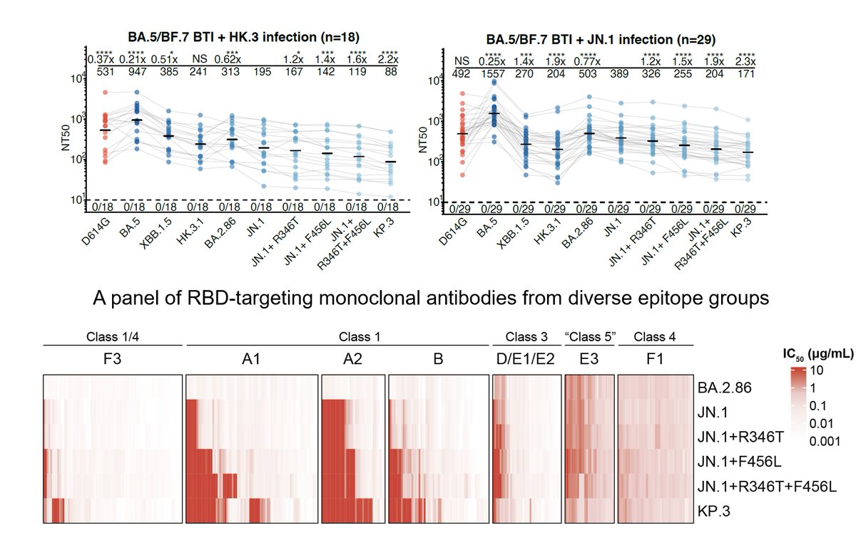 KP.3 (JN.1+F456L+Q493E) is the most immune evasive variant we found and is also the fastest-growing JN.1 sublineage. The additional F456L and Q493E mutation allows KP.3 to evade a substantial proportion of JN.1-effective mAbs, especially Class 1 antibodies. (5/7)