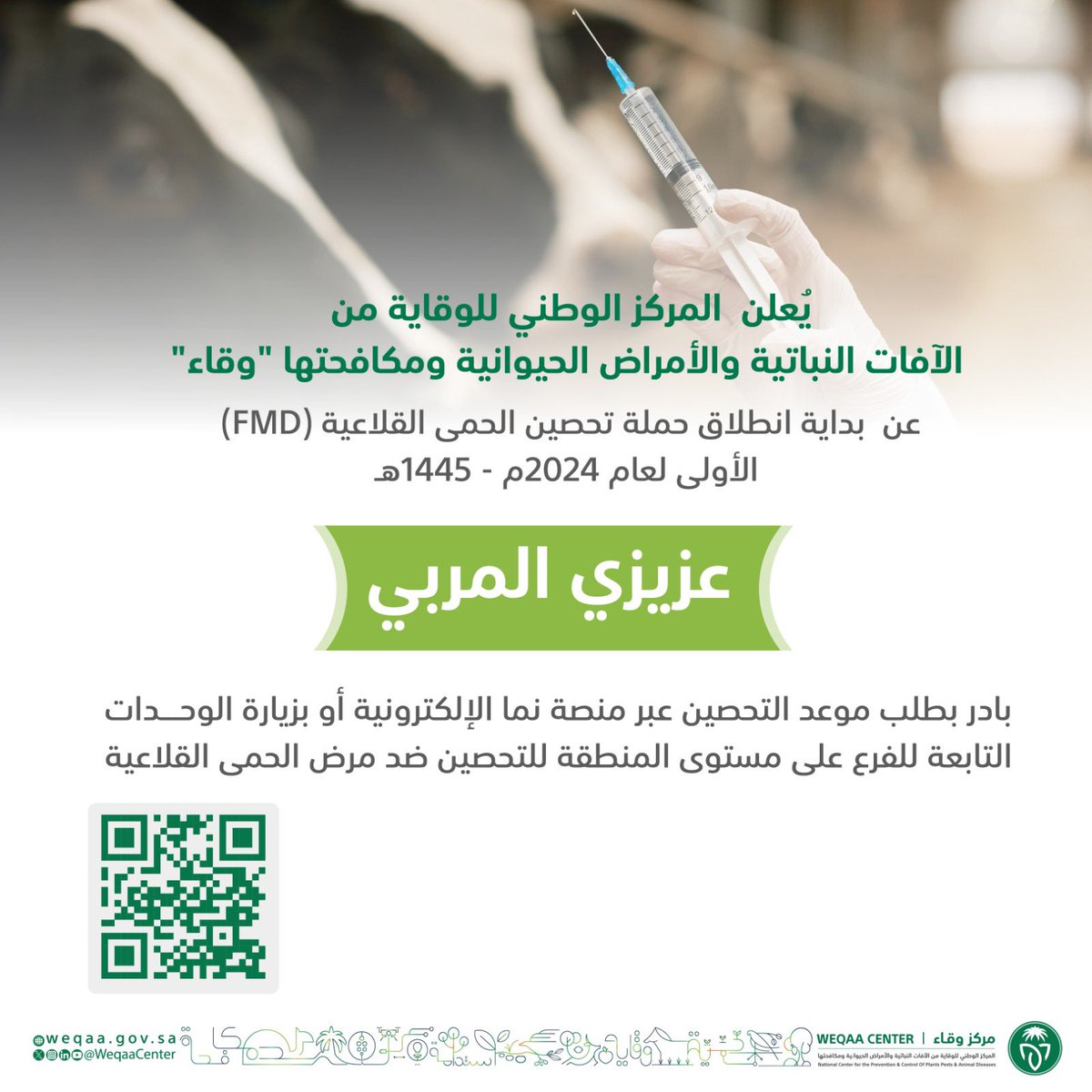 يُعلن مركز #وقاء عن بدء حملة تحصين الحمى القلاعية الأولى لعام 2024م في المملكة.