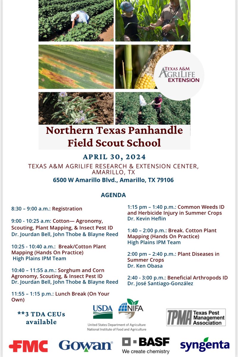 TXPanAg's tweet photo. @txextension will be hosting a field scout school in Amarillo on April 30 covering #corn, #cotton, and #sorghum.  Registration will be covered by sponsors. 3 TDA CEUs will be provided. @TXPanhandle_IPM @PlainsPestMgmt @thppdd_lab @kheflinTxAg https://t.co/75WK63Sz4c