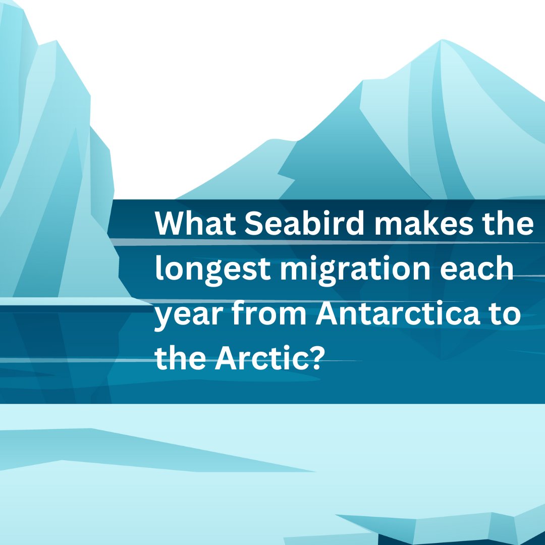 Check out the answer in this article from @IFLScience iflscience.com/this-seabird-m…