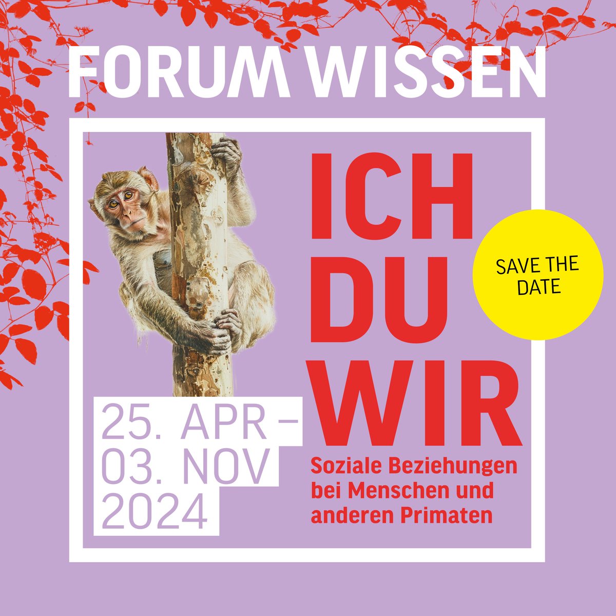 Veranstaltungstipp für #Göttingen: Am 24. April eröffnet die Sonderausstellung 'Ich-Du-Wir - Soziale Beziehungen bei Menschen und anderen Primaten' im @ForumWissenGoe forum-wissen.de/event/vernissa…