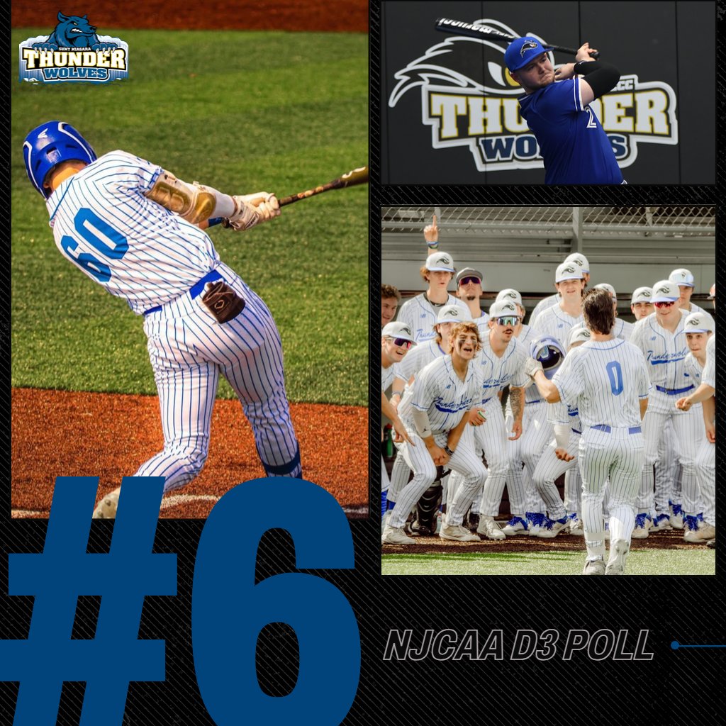 BASE: Your <a href="/NiagaraTwolves/">SUNY NIAGARA BASEBALL</a> (33-7, 17-1) move back up to No. 6 in the latest <a href="/NJCAABaseball/">NJCAA Baseball</a> D3 rankings! #RollWolves ⚾️🐺💪