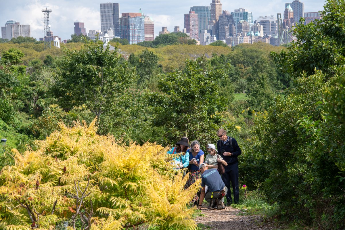 Keep the #EarthWeek celebrations going at the first #GovIslandNature Walk of the season this Thursday, April 25, at 12pm! You’ll get to learn about the Island's resilient land­scapes direct­ly from the peo­ple who know them best. Free with registration: govisland.com/things-to-do/e…