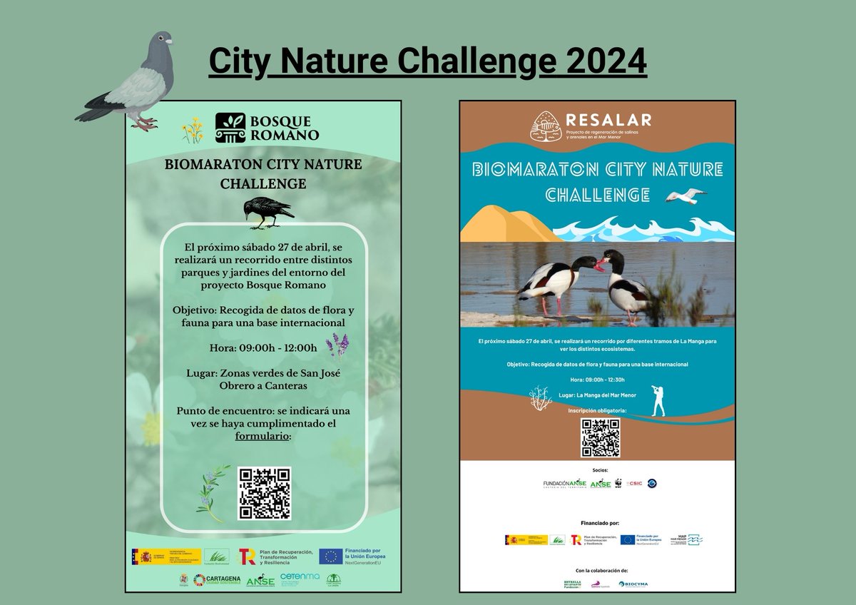 🔵ACTIVIDADES🔵¡Únete al City Nature Challenge 2024 de los proyectos #bosqueromano y #resalar! 🌱🦜🕷️🦇 @FBiodiversidad #proyectosPRTR #PlandeRecuperacion #nextgenerationeu #MAPRMM ➡️Más información: asociacionanse.org/unete-al-city-…