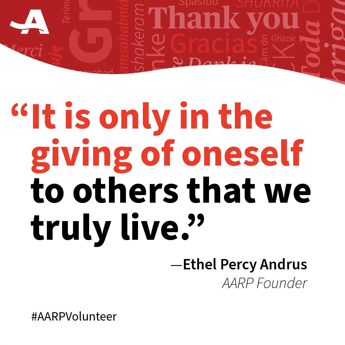PatrickBFox1's tweet photo. Volunteering is my way of paying it forward.  To share my talents and to meet people keeps me engaged, focused and energized. https://t.co/2tFZ8kjJYt