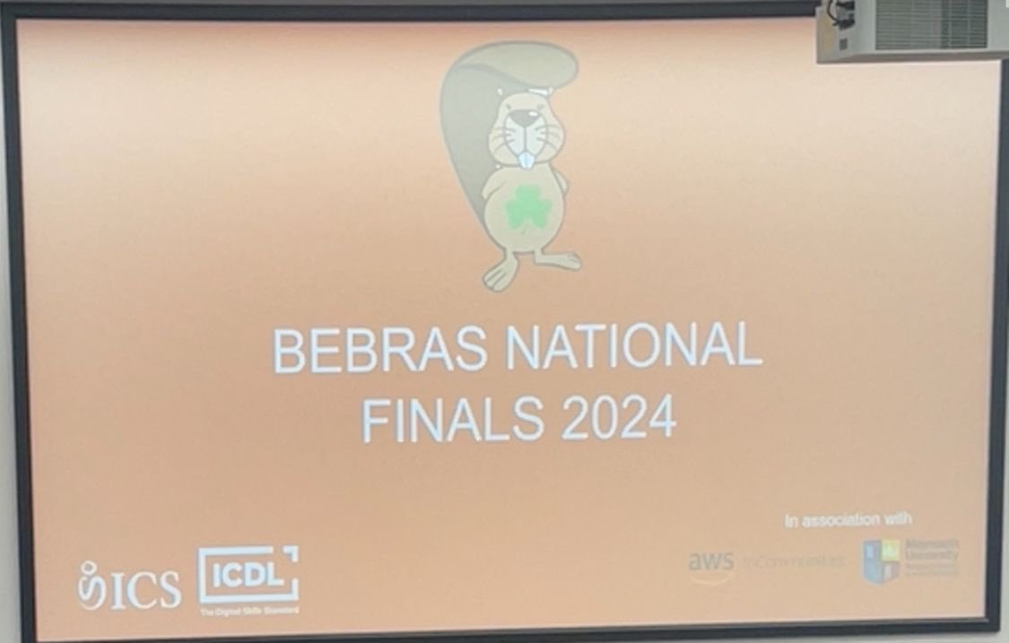 Well done to our students who participated in the Bebras (computational thinking) National Final in Maynooth University last week.