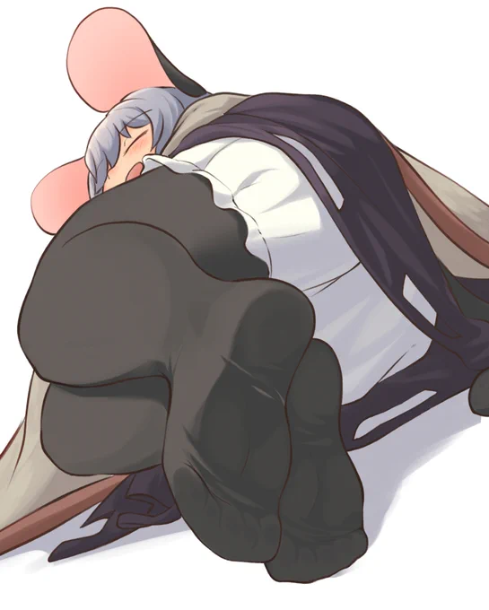 え!?今日は火曜日だから寝てるナズーリンのタイツを堪能しても良いのか!?!?!?! 