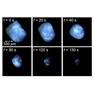 PhysRevFluids's tweet image. Learn about the sedimentation of a single soluble particle at low Reynolds and high Péclet numbers! In this paper, our peers at @PMMH_lab examine the dissolution journey of an almost spherical butyramide particle. go.aps.org/3Qgo6q2 #fluiddynamics