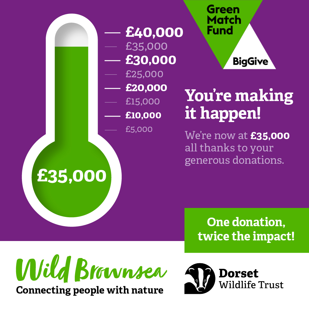 🎉 INCREDIBLE NEWS 🎉 We have hit £35,000 for the #BrownseaBigGive! We're now just £2,500 in donations away from our £40,000 target, with under 2 days of the campaign left. Can you help us hit our target? 🎯👉 bit.ly/4bdvECn 
Thanks SO much to everyone who has donated.💚