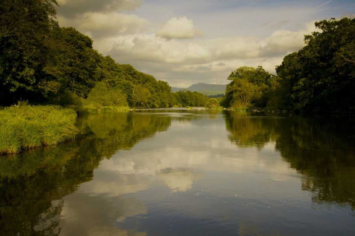 In their most recent blog, @ollyholland, Benji Gourgey and Emily Hay respond to the Defra plan to “protect the River Wye” leighdaylaw.info/3UuLTFl