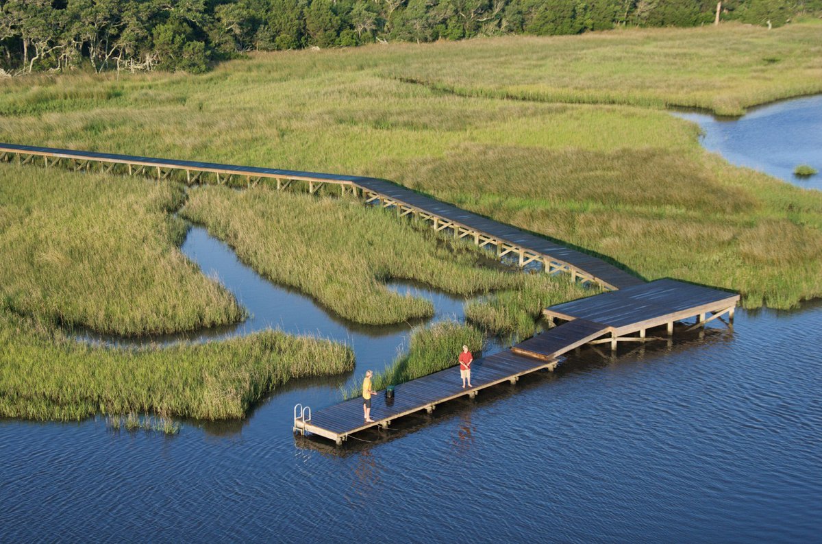 Data from Surface Elevation Tables show that North Carolina marshes are not able to keep up with #SeaLevelRise, and will result in a loss of 46% of North Carolina's wetlands by the end of the century. Read more here: ncseagrant.ncsu.edu/coastwatch/spr…