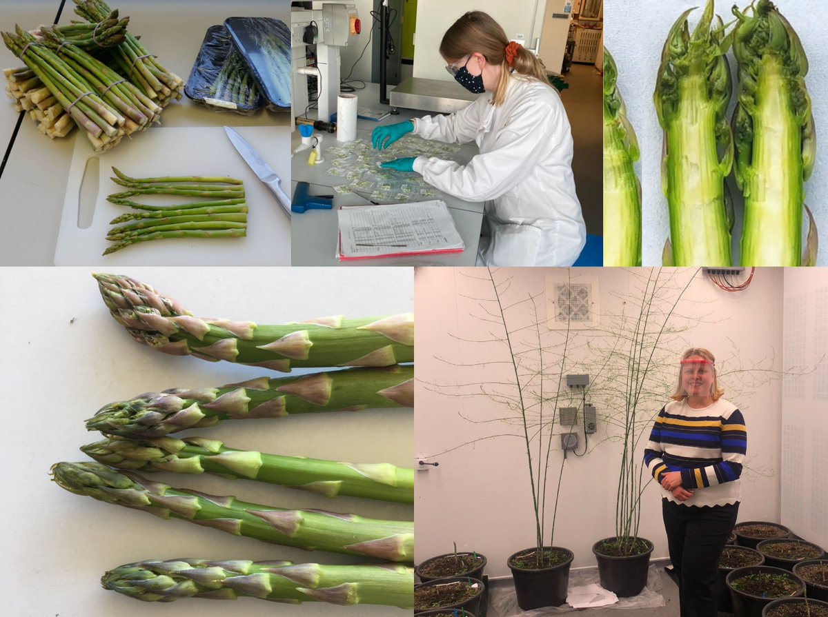 Postharvest Research Group tweet media