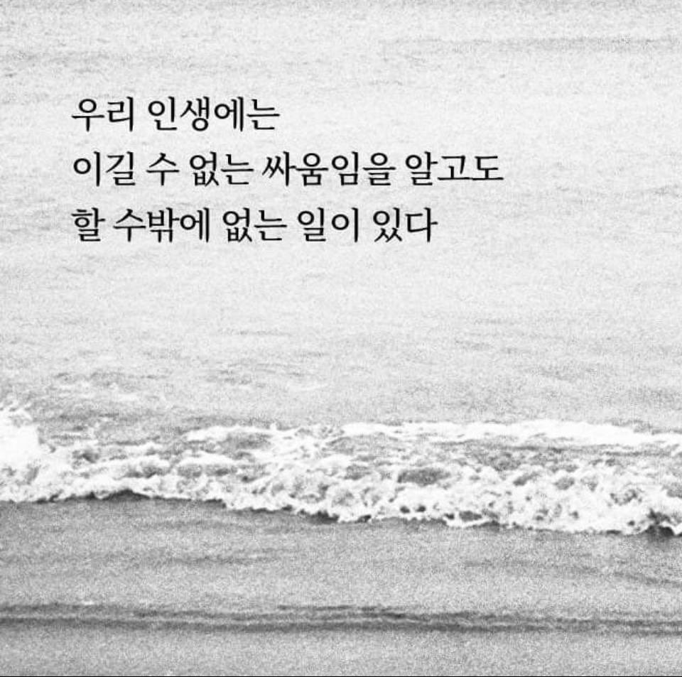 오중기 _경북 도지사 tweet media