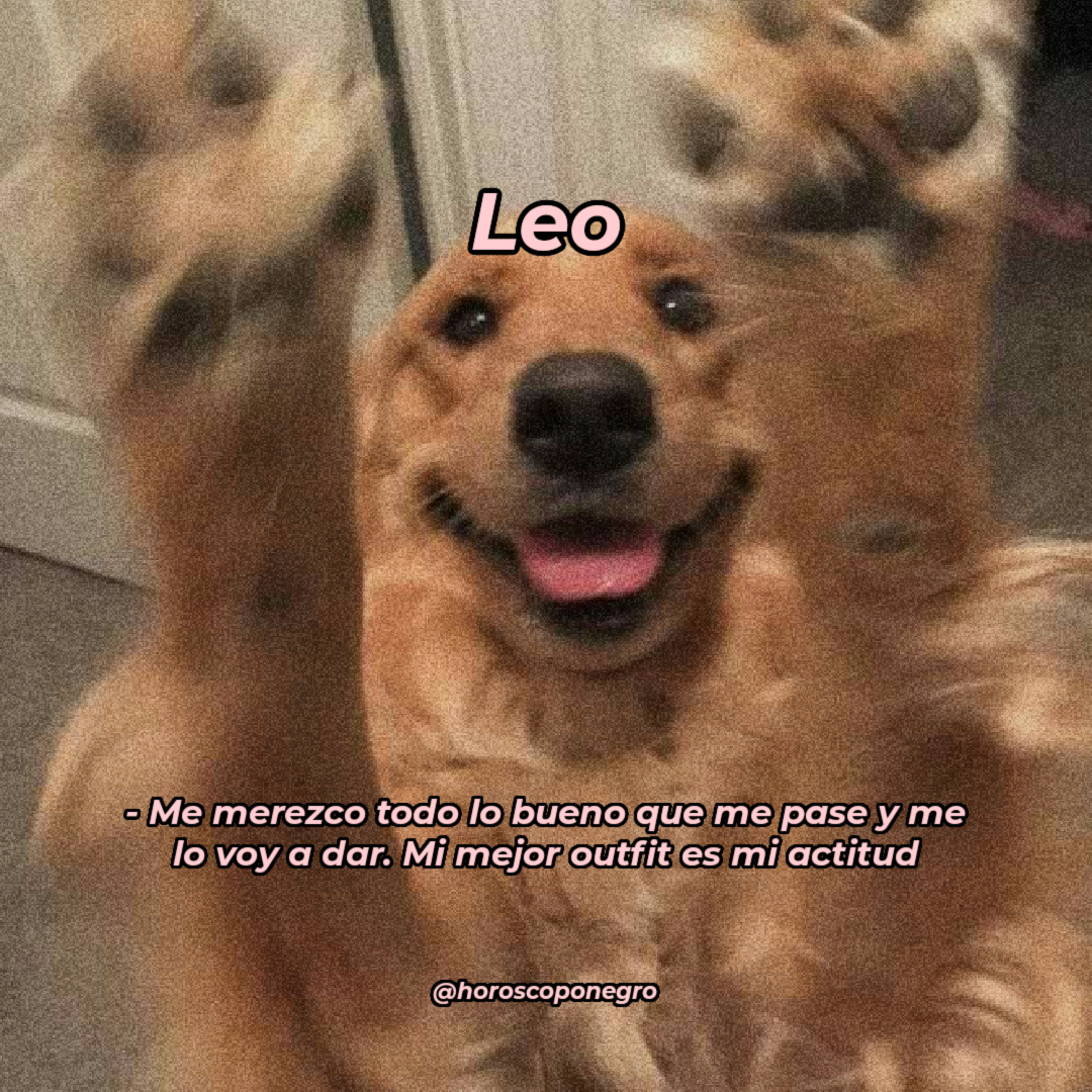 leo_hnegro's tweet photo. El perrito adorable Leo ♌ tiene algo qué decir ✨ https://t.co/4UfQimADRN