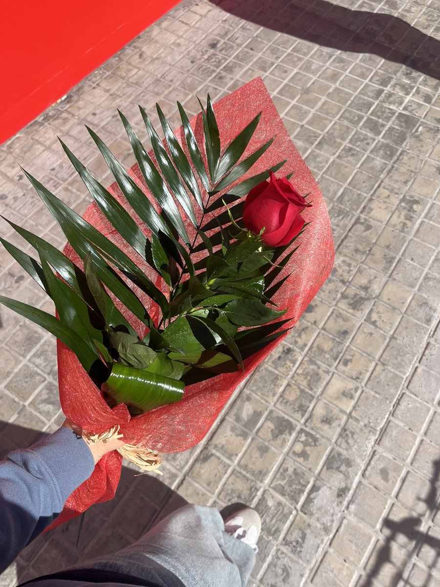 aquest any sí; roses, llibres i amor 🌹📚❤️‍🩹