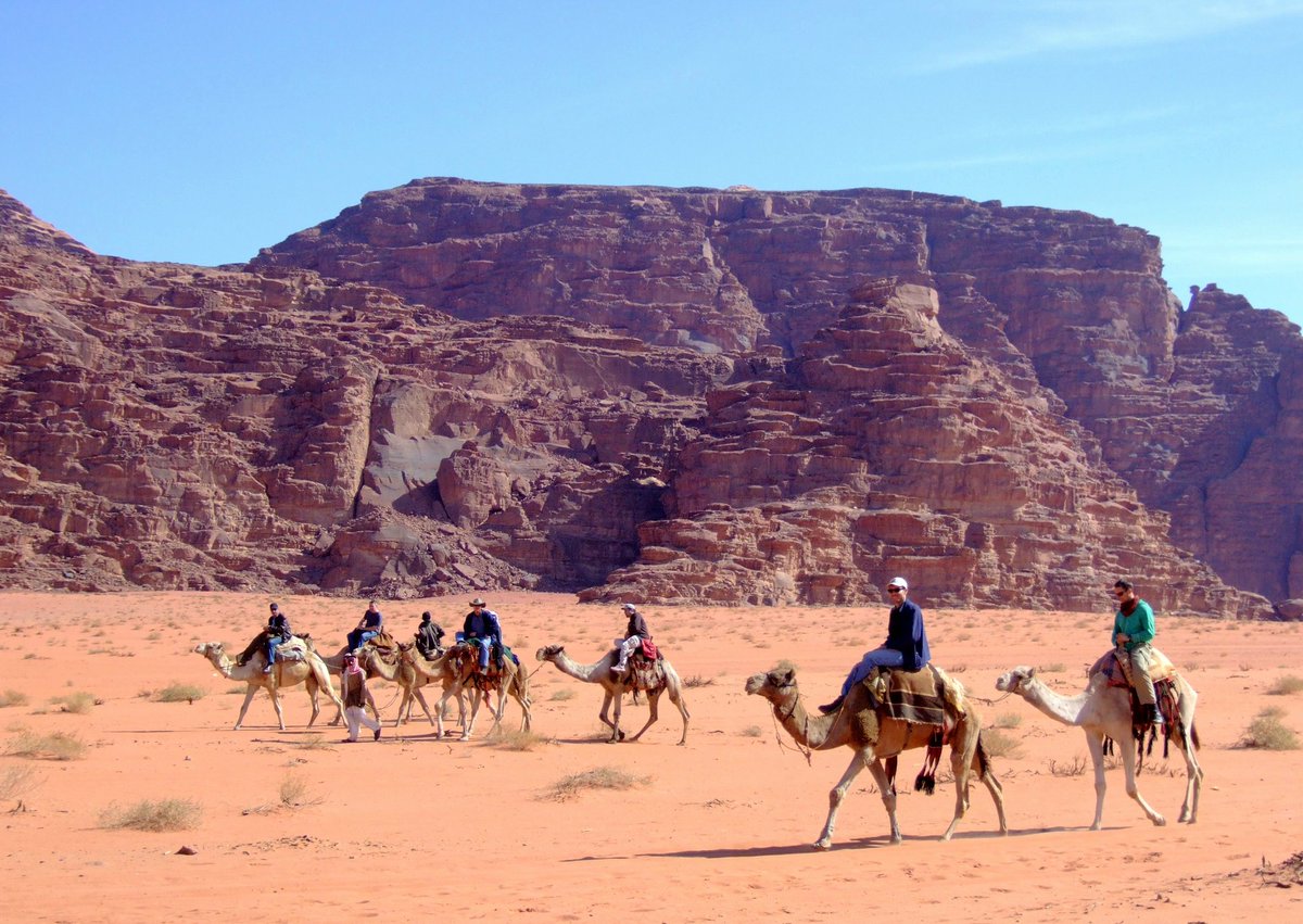 @DailyPicTheme2 #DailyPictureTheme #Hardworking #Camels working hard in the hot desert #WadiRum