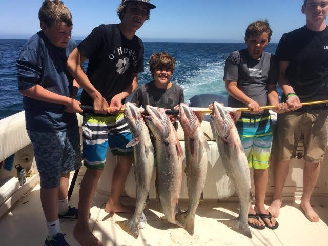 Mikes spot at Catalina! #catalinaislandfishing #catalinaisland #fishingdaily #fishingtime #fishingaddict #fish #sportfishing #fishing #yoursaltwaterguide