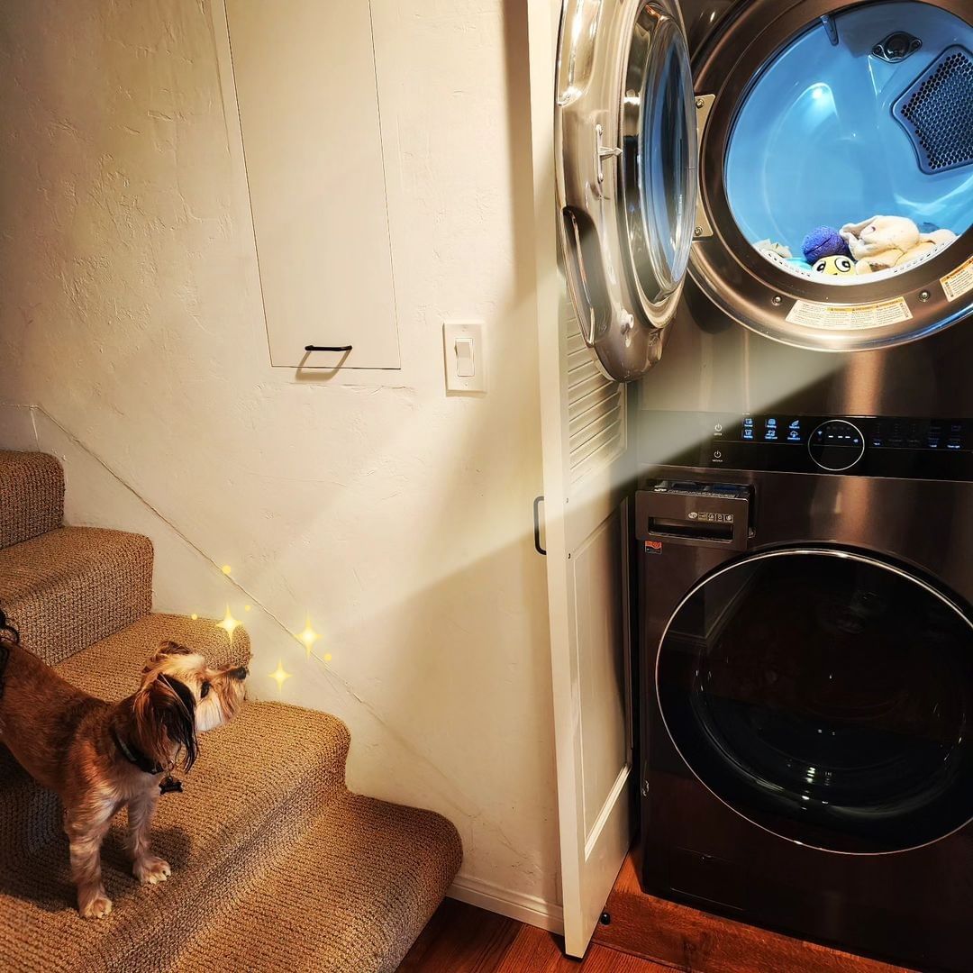 Trusted only with the most important jobs! 🐶 #LGUK #LifesGood #LGWashTower