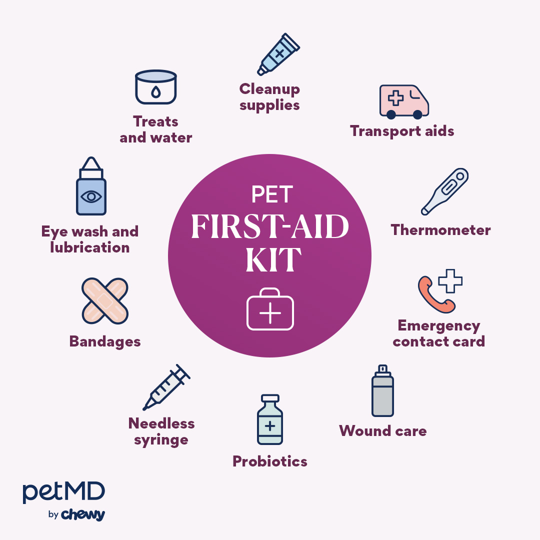 In an emergency situation, having these 10 items is critical for the safety of your pet.