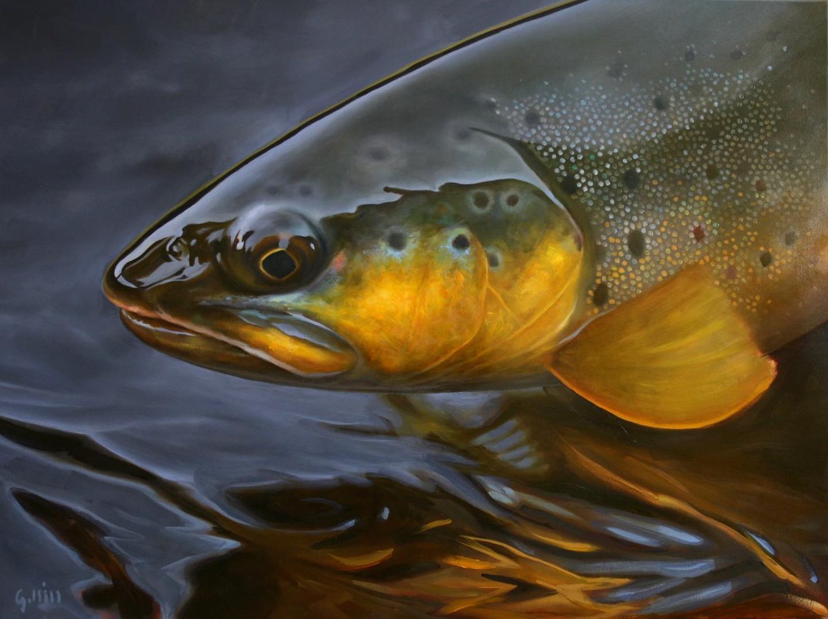 'A favorite from a few years back.' // art and image by George Hill @georgehillart . . . . #flyfishingart #flyfishingartist #flyfishing #browntrout #wildart #troutart #keepemwet #dryfly #bwo #utahart #catchandrelease #fishingart #fishart