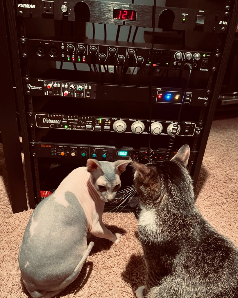 When the engineer said there's some 'cool cats' that hang around the studio 😼 📷 (@jason_andropolis)