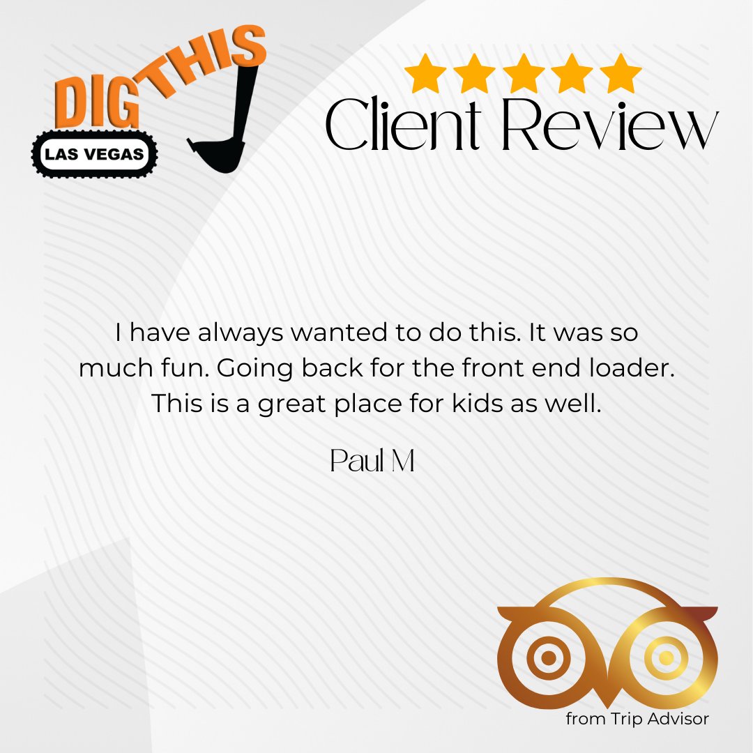 Dig This tweet media