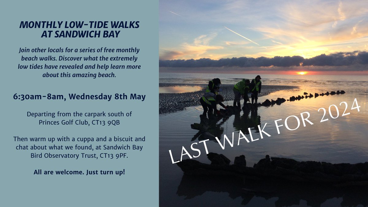 Join us for the last opportunity this year, to see all ten wooden wrecks and the B-17 plane wreck. 6:30am-8am Wednesday 8th May Two and four-legged beach explorers welcome. Wellies highly recommended. #Sandwich #beachwalk #shipwreck #planewreck #archaeology #beacharchaeology