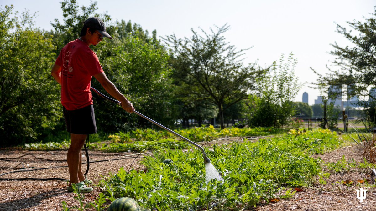 IU's dedication to environmental stewardship manifests in a multitude of ways. Learn how IU is leading the charge toward a more sustainable future: bit.ly/3vTo7JW