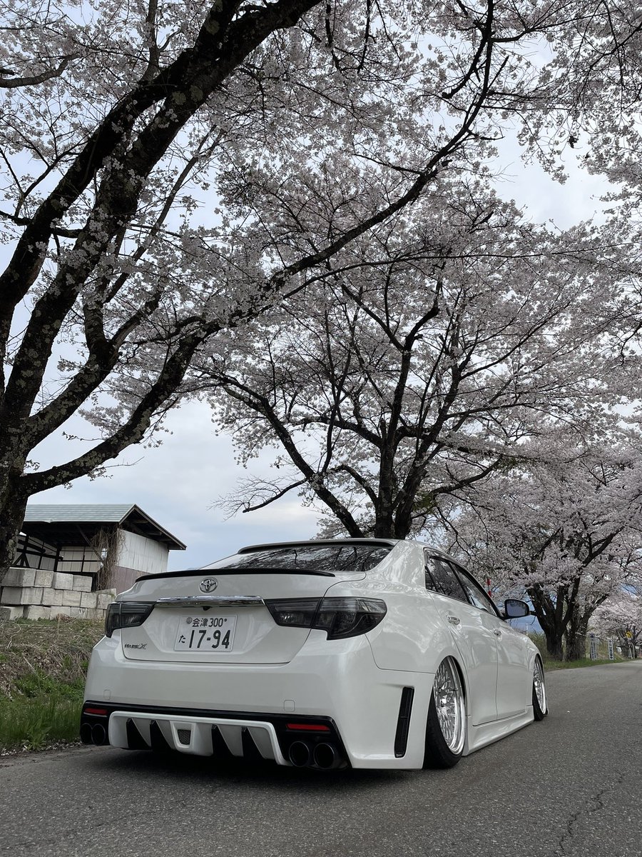 #トヨタ乗りと繋がろう2024春