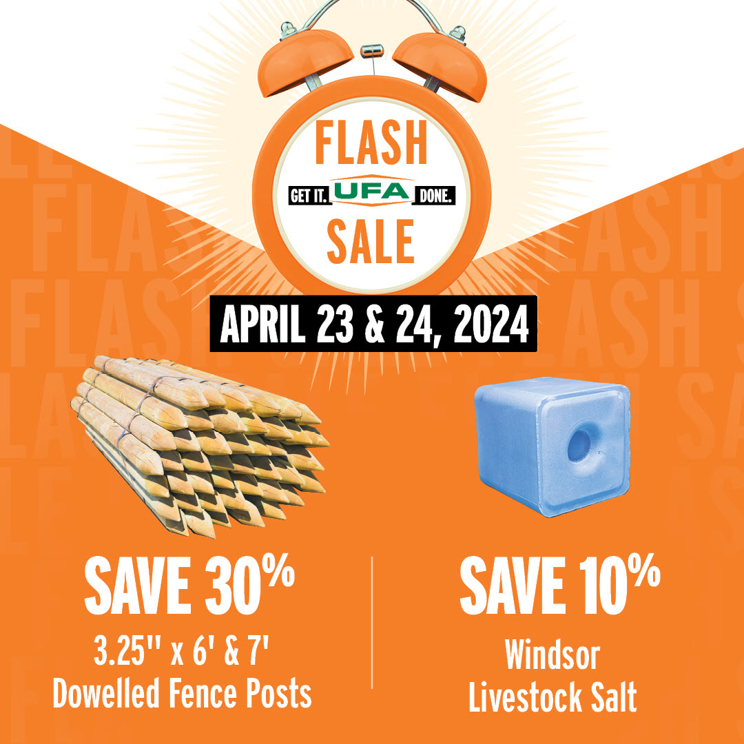 ⏰𝗙𝗟𝗔𝗦𝗛 𝗦𝗔𝗟𝗘! 𝟮 𝗗𝗔𝗬𝗦 𝗢𝗡𝗟𝗬!⏰ April 23 & 24 only. Save on dowelled fence posts and Windsor livestock salt. Shop in-store or online and save ▶️brnw.ch/UFA_Flash_Apri…