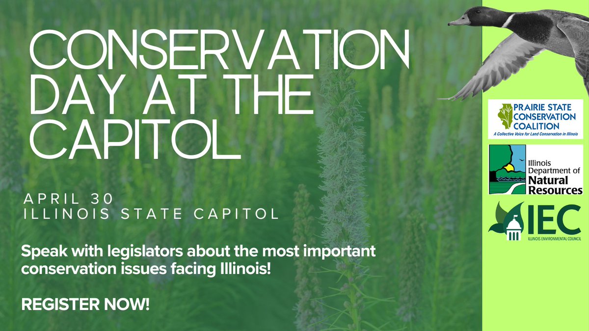 It's not too late to register for Conservation Day at the Capitol on April 30! Join the Illinois Department of Natural Resources, @ilenviro, the Prairie State Conservation Coalition, and the Illinois conservation community advocate for conservation in IL: nature.ly/3w68kY8