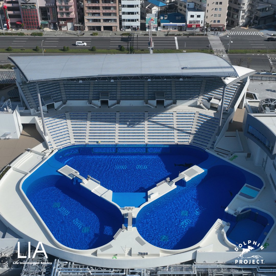Dolphin_Project's tweet photo. Stella, the oldest captive orca in Japan, is in a small tank at Kobe Suma Sea World, alone. LIA volunteers observed Stella spending a long time just floating in the water. She also repeatedly swam to the wall, backed up, and swam to the wall again: https://t.co/NrkoklgHer https://t.co/GUPXcOHn9M