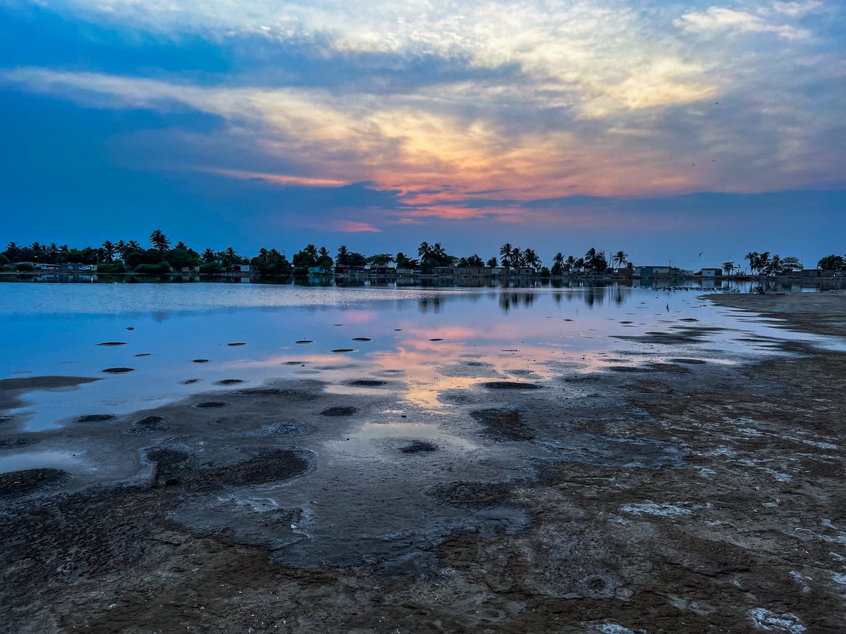 Sugey Herrera tweet media