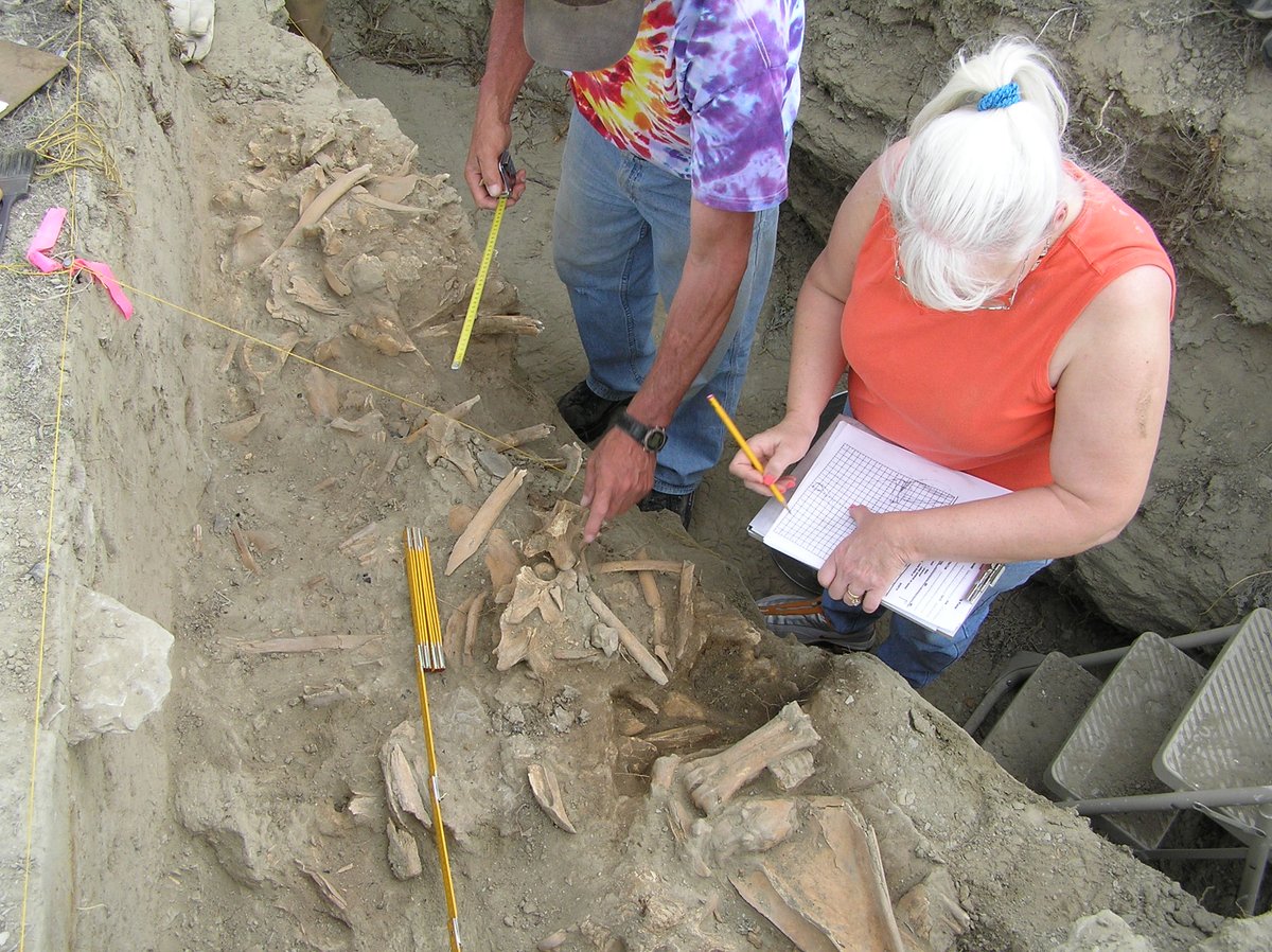 We're #NowHiring Archaeologists.    📈 Pay Scale: GS 9-11 💲 Salary: $59,966 - $94,317 per year 🗺 Location: Cody, Kemmerer, Pinedale, Rawlins 📌 Appointment type: Permanent    ⏰ Closes: April 25 #ApplyToday on USAJOBS: usajobs.gov/job/786142900