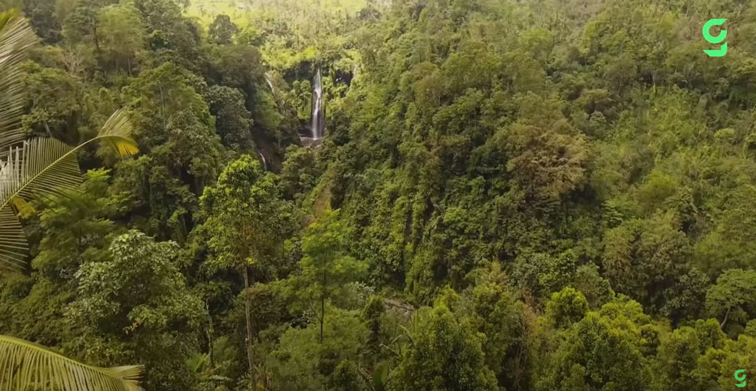 #GoodNewsTues
The Amazon Rain Forest is the Planet's lungs, but it is being deforested.  The Good New is, we are doing better. Learn More in this video titled, 'Can We Save the Amazon Rainforest?'
Video Link: youtu.be/46epeiJKYXE?si…
#SpaceAgeCU #GoodNews #RainForest