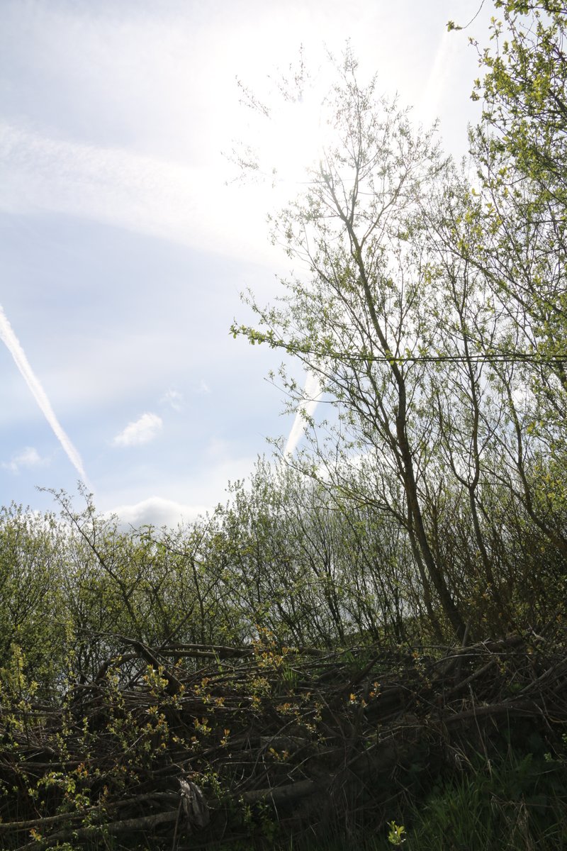 Emma and Carina from our biology and geography departments enjoyed a great first meeting and site visit today with Michael and Chris from the Smp Alliance . 🌳We are excited to work alongside @WiganCouncil, National Highways, @EdinburghUni and @Uni_Newcastle on this project