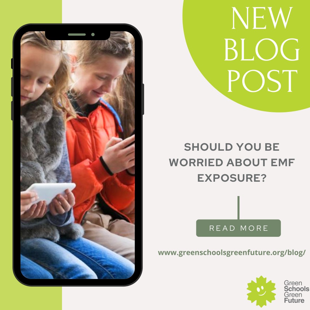 Concerned about EMF exposure? Learn more in my latest blog. Limit device use and protect yourself. Green School Green Future 🌱💚 cares about EMFs' impact on children's 
health.
#EMF #Health #Safety #GreenSchoolGreenFuture #ChildrensHealth #Blog'