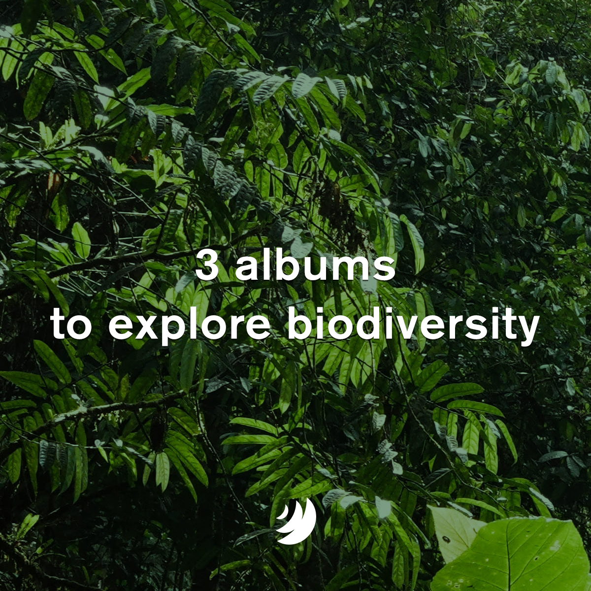 Biodiversity is a unique gift.
Immerse yourself in a natural reserve with our albums inspired by Mother Earth, wildlife and nature. 

#EarthDay #MusicForDocumentaries