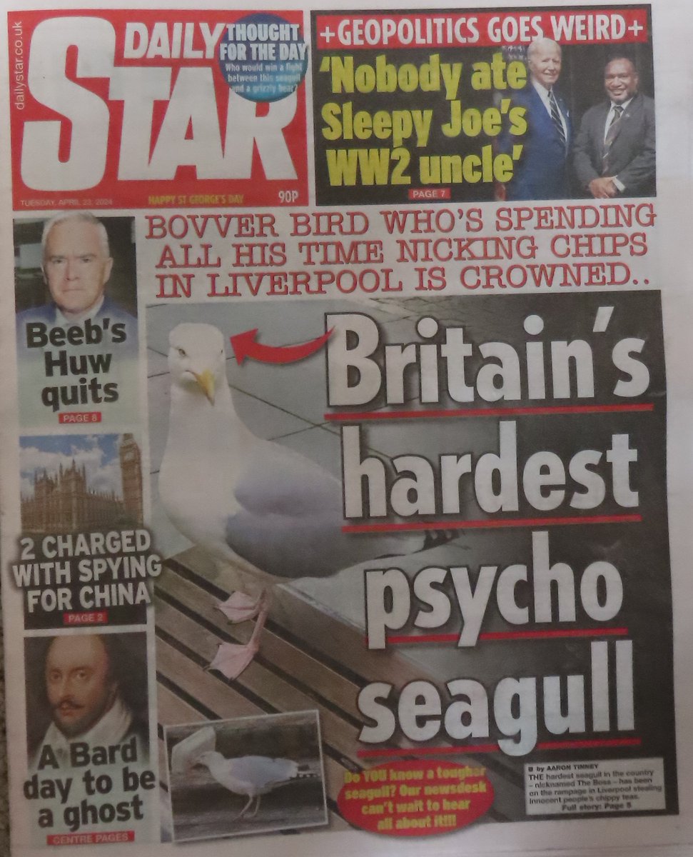 The red-top media rarely misses a chance to demonise herring gulls. Today's front page of the Daily Star.