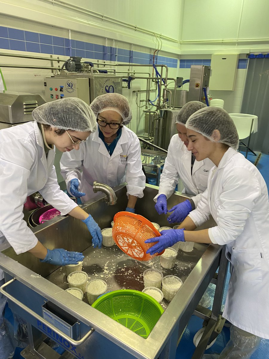 mcccodina's tweet photo. Estas futuras agrónomas de la @EtsiamAb han realizado sus prácticas en la planta piloto de queso con un resultado exquisito👌👌
@AnaMolina2016 https://t.co/WLj78Q67XS
