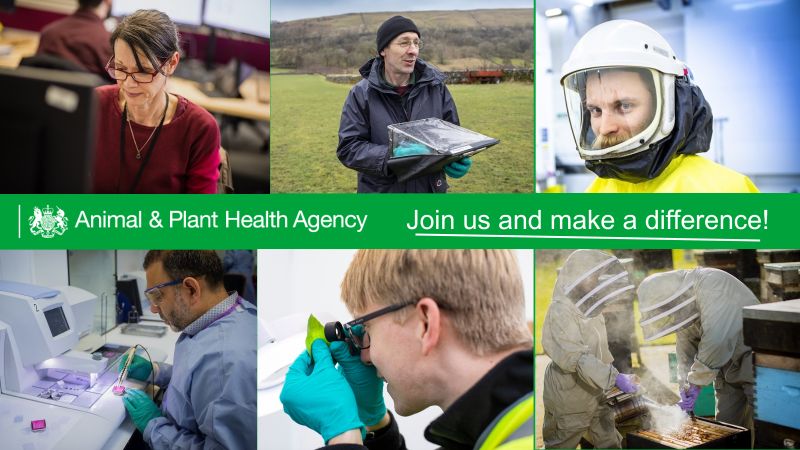 Are you passionate about animal welfare and do you enjoy being outside? We have 6 Animal Health Officer vacancies based in Ashford, Kent. 

Salary: £27,470 - £28,606
Deadline: 20th May 2024.

Find out more on Civil Service Jobs: bit.ly/3JuPA7B

#AnimalCareers #Welfare