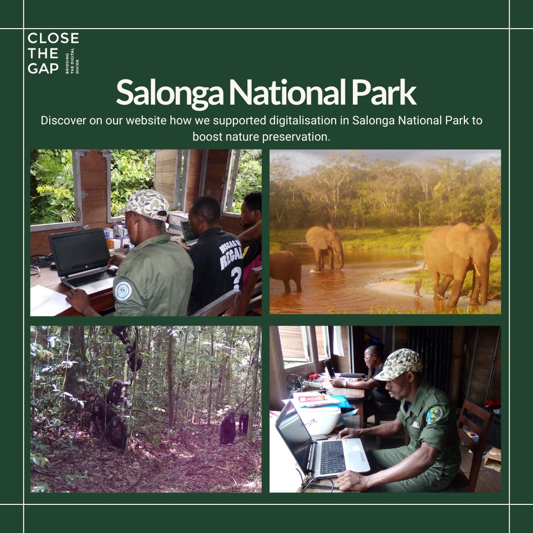 🌱 This Earth Day, we are spotlighting the United Nations Decade on Ecosystem Restoration. Our contribution to tackle this challenge? Supporting digitalisation in Salonga National Park to boost nature preservation and facilitate continuous monitoring of endangered species. 🐘🌳