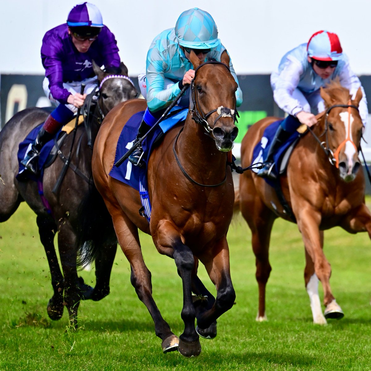 Race 2 Result - British Stallion Stubs EBF Maiden Stakes 🏆 Binadham Jockey: @BenoitSayette Trainer: @kpfracing Owner: Salhia Stud Limited