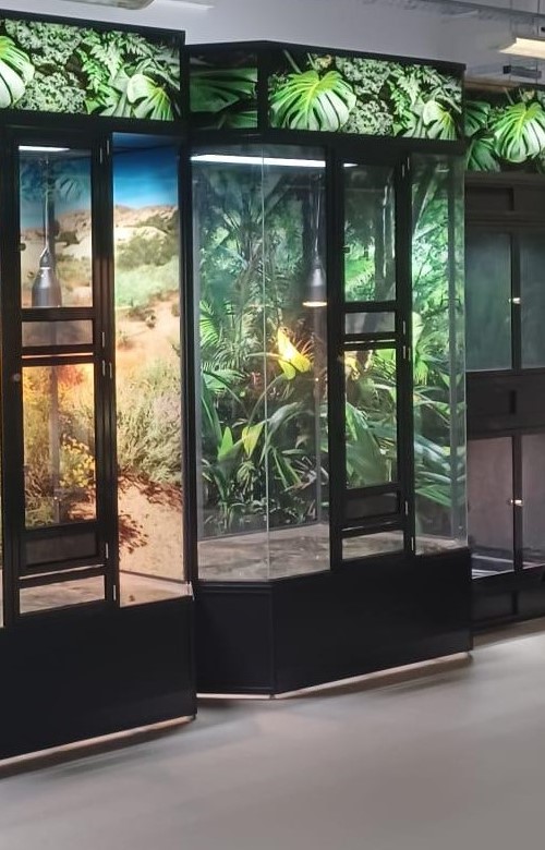 We loved working with Kirklees College on their new reptile enclosures. Our habitats are designed to ensure a safe and enriching environment for the college's reptilian inhabitants while fostering hands-on learning opportunities for students. Find more: ow.ly/paR850RljG7