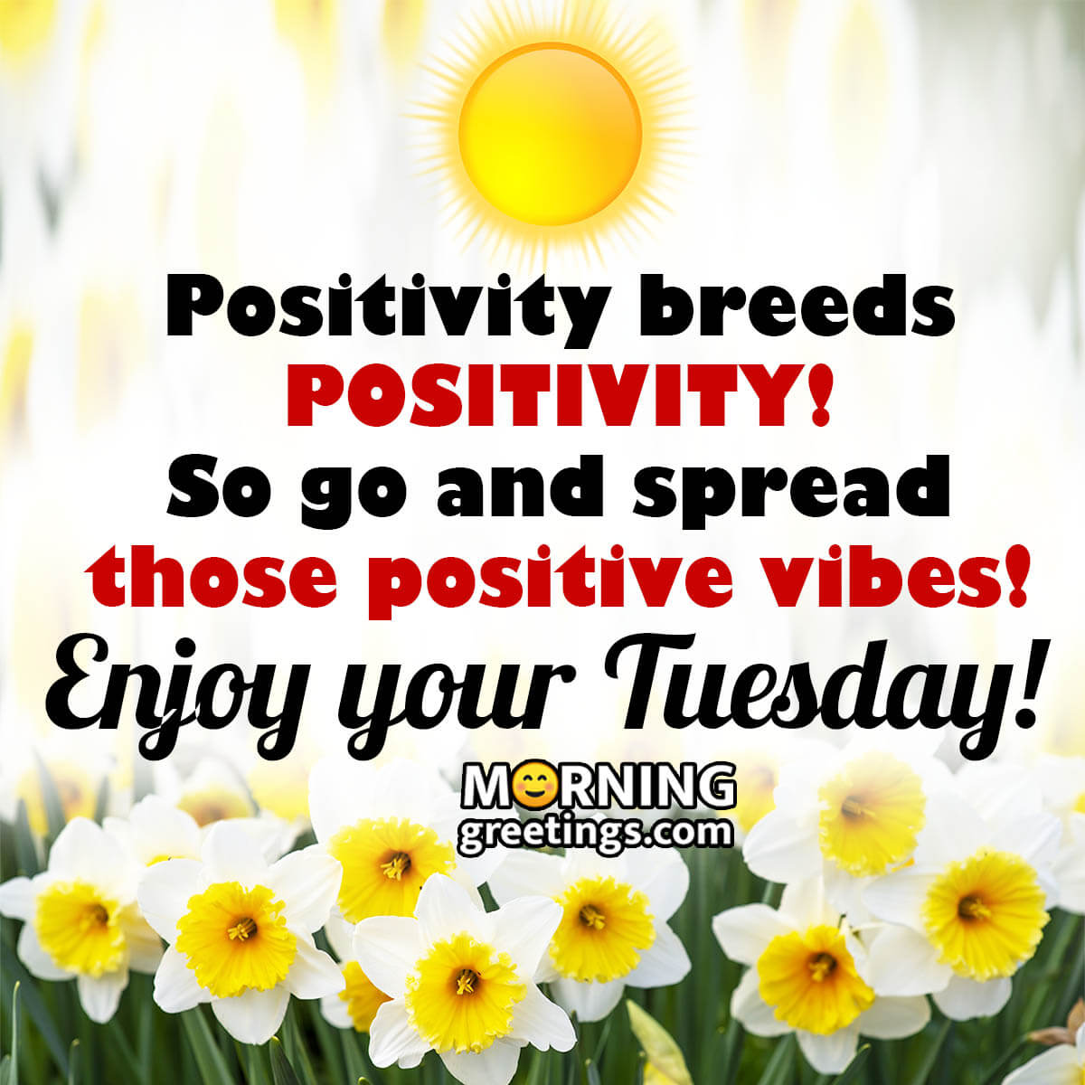 Happy Tuesday!
Spread Positivity
So what are your goals?
🏠 Dreaming of your own home?
☎️ Call DAWN CHADWELL at 505-306-9448 
#happytuesday #staypositive #keepjesusfirst #goservebig #dawnchadwell #wearehereforyou #yourhometeamnm  #hope #fearnot #youareloved