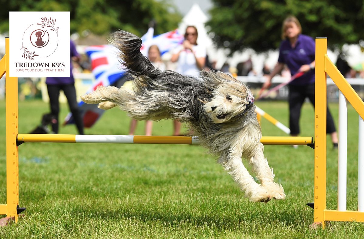 We're excited to announce that Tredown K9 Pet Supplies are sponsoring Lour BRAND NEW Bark & West section at the Royal Bath and West Show 2024! 🐕🐕‍🦺🐩 Don't forget you can still book your tickets online ➡️ loom.ly/0tiF5n8