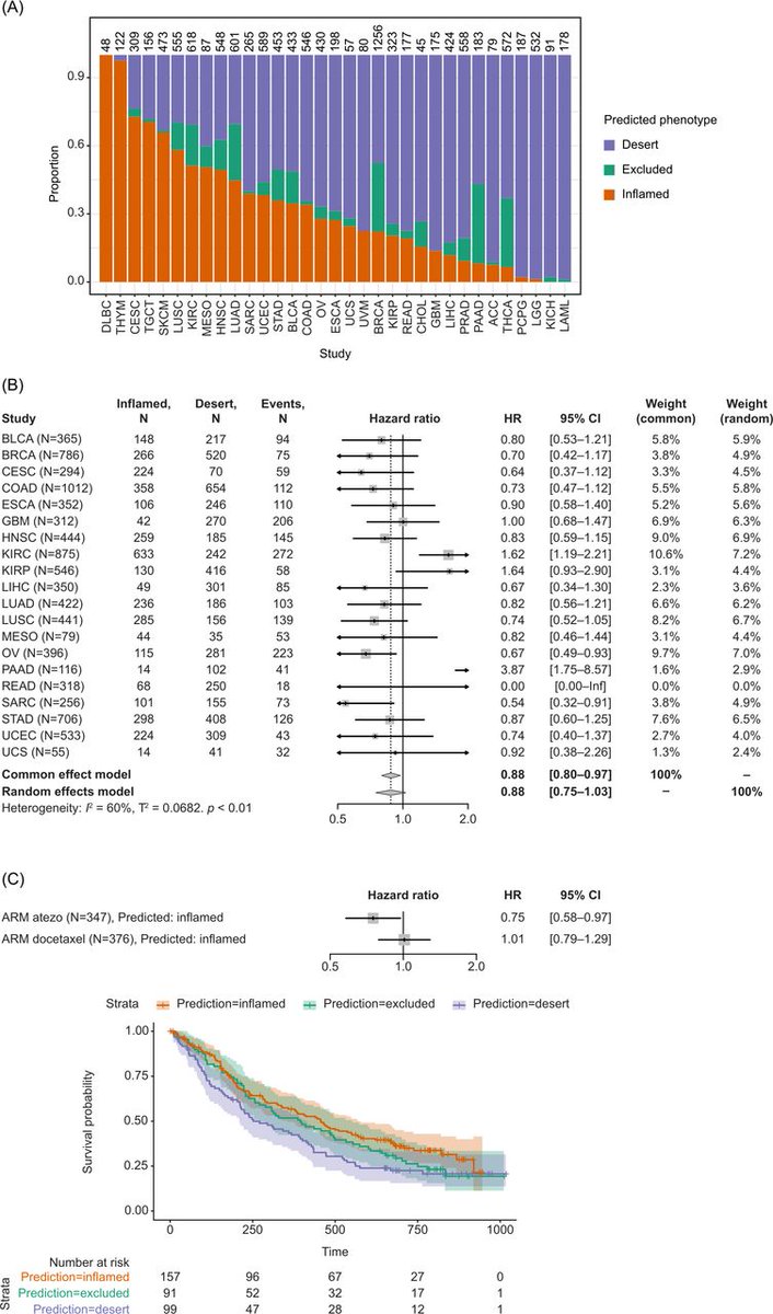 New #JITC article: Tumor-agnostic transcriptome-based classifier identifies spatial infiltration patterns of CD8+T cells in the tumor microenvironment and predicts clinical outcome in early-phase and late-phase clinical trials bit.ly/4aLSwJh @idavydov