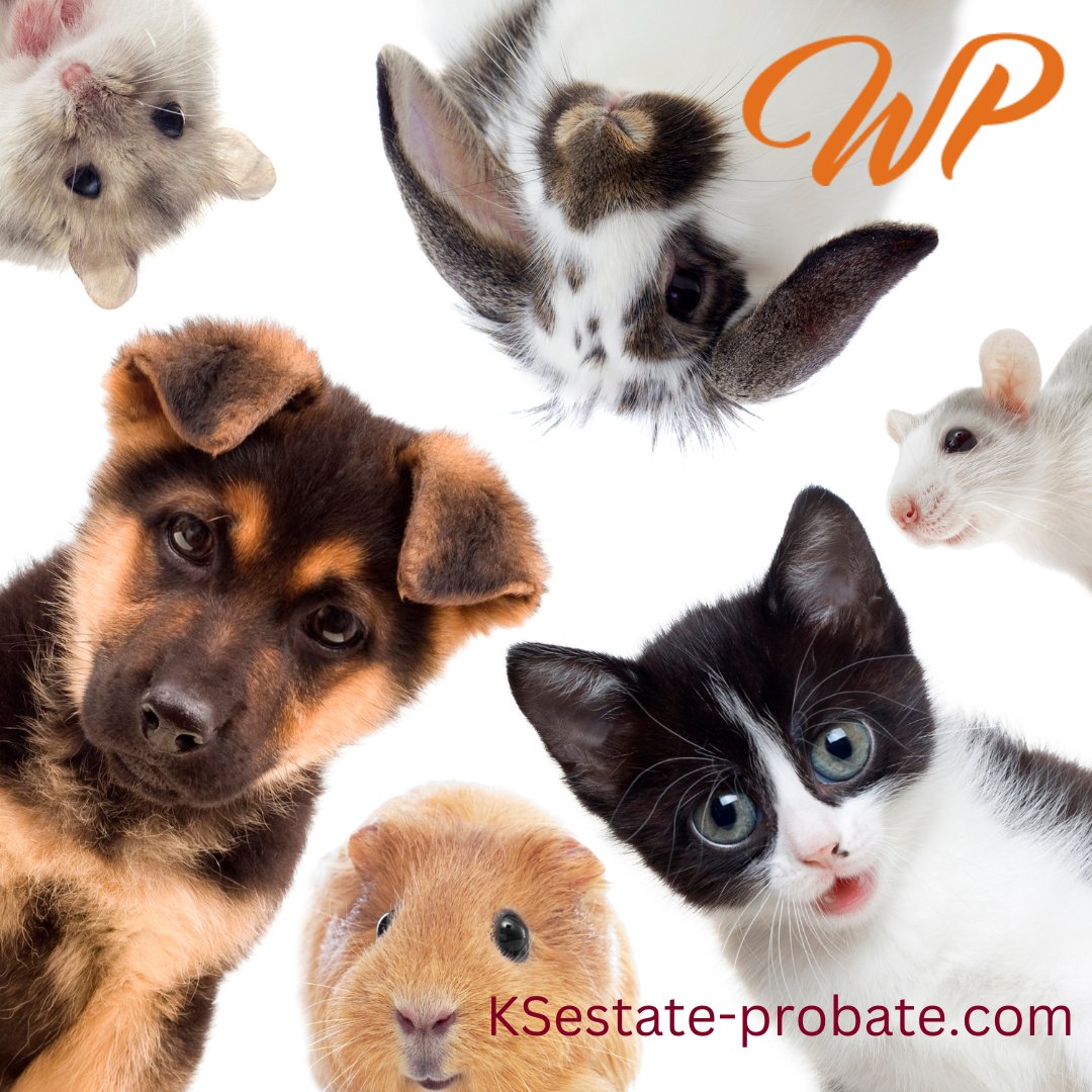 Your furry friends deserve a plan too! Estate planning can include provisions for your pets, ensuring their care and comfort if you're no longer around. 🐾
ksestate-probate.com
#KSestate #estateplanningattorney #willsandtrusts