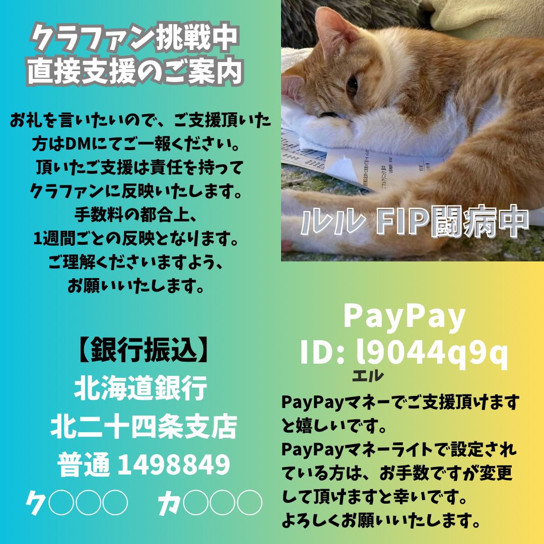 😫助けて下さい！ ❤️‍🩹難病FIP- 猫伝染性腹膜炎-と闘うルル@M_H_Re_Ru ちゃんはご支援を募っています🙏 ⚠️⚠️あと19日で、約67万円の協力がないと支援が届きません😰💦 💚ひとりでも多くの方に広めてください! #クラウドファンディング #READYFOR readyfor.jp/projects/01131… @READYFOR_cfより