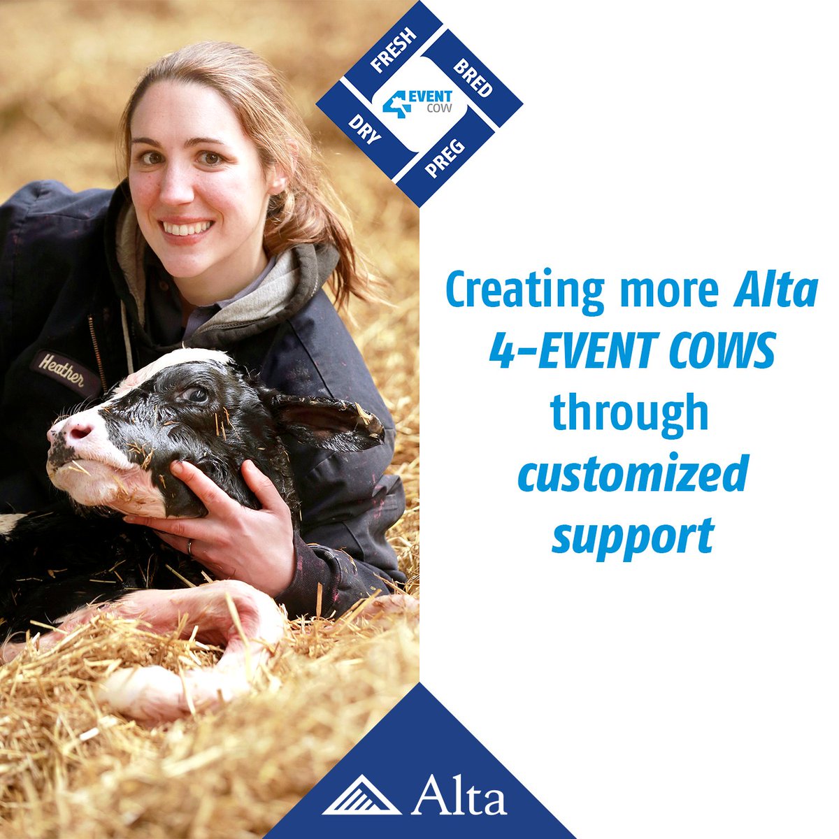 Count on Alta to provide you with customized support. We offer the best genetic and reproductive strategies by customizing them to fit your current needs and future goals. Want help in your fresh cow pen? Better reproductive outcomes? More 4-EVENT COWS? Alta has you covered!